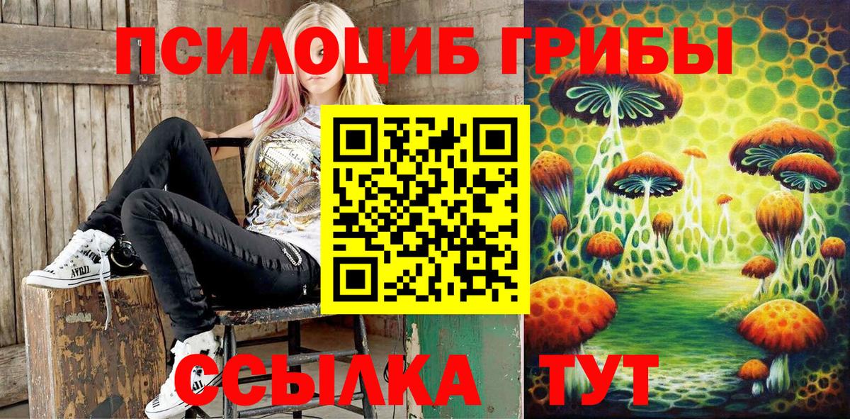 Черняховск  Галлюциногенные грибы мицелий  Вход с VPN 